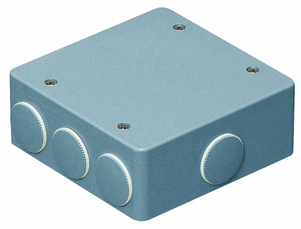 PVKBOX ͥå
