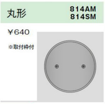 ステンレスプレート 丸形ブランクプレート 取付枠付