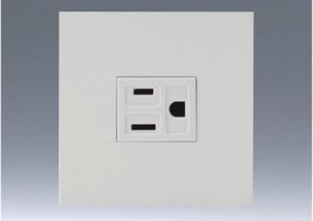 NK ミニ接地極付コンセントプレートセット (PW色) 2PE 15A-125V