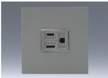 NK ミニ接地極付コンセントプレートセット (SG色) 2PE 15A-125V