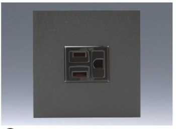 NK ミニ接地極付コンセントプレートセット (SB色) 2PE 15A-125V