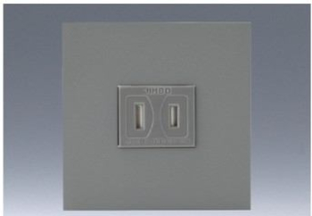 NK ミニ扉付コンセントプレートセット (SG色) 2P 15A-125V