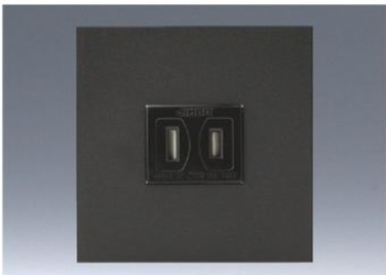 NK ミニ扉付コンセントプレートセット (SB色) 2P 15A-125V