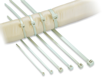 �Ѹ������󥷥���å�100���� 251��4.8�ߥ� �����ܥ꡼