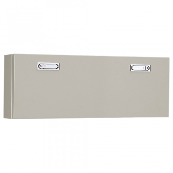 RA�������ץܥå���