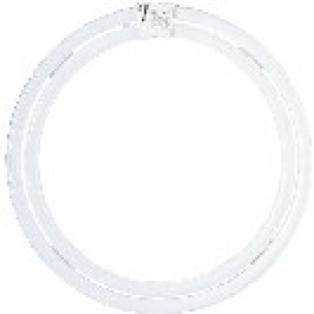 �ĥ���ѥ�å��ץ�ߥ�