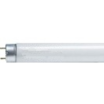 Hf蛍光灯