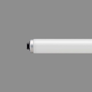 直管蛍光灯