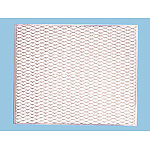 �����աݥ�����Ļ��