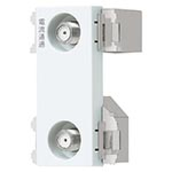 ����⥷����ɥƥ�ӥ����ߥʥ�2ü�� �ۥ磻��