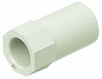 2�楳�ͥ�����