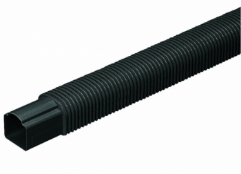 �ե꡼���祤���