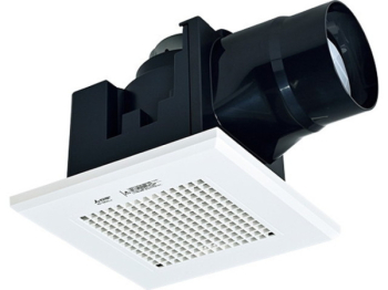 �������Ѵ����� ŷ������� �������ȥ�����