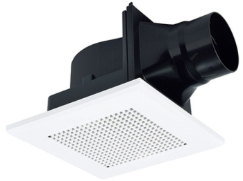 �������Ѵ����� ŷ������� ������������ 24���ִ�����ǽ��