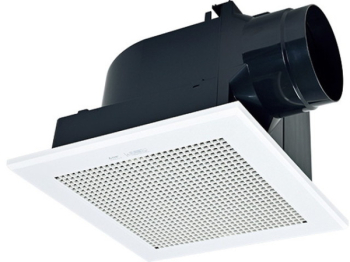 �������Ѵ����� ŷ������� ������